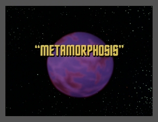 Metamorphosis Metamorphosis