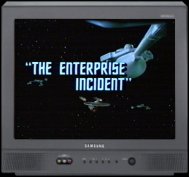 The Enterprise Incident